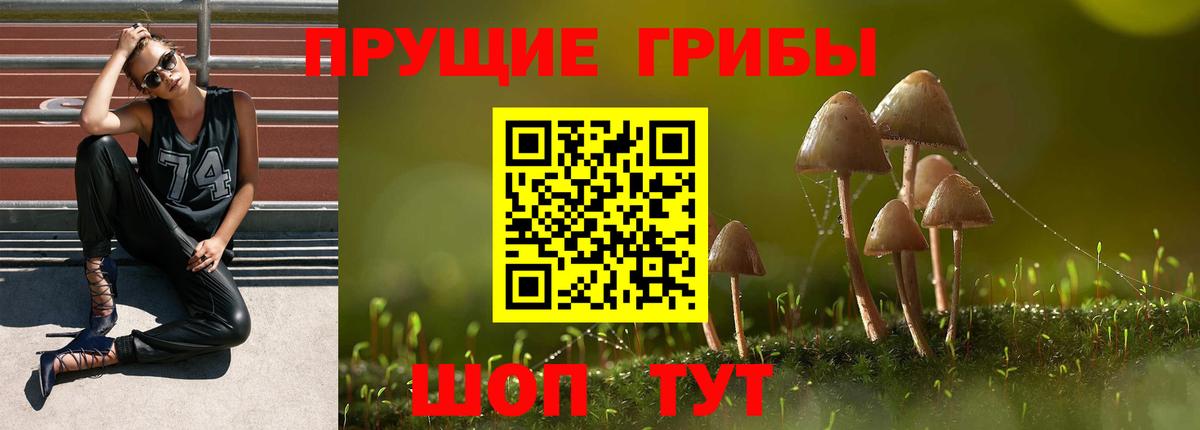 Артёмовский  Галлюциногенные грибы Cubensis  хочу   Вход с VPN 